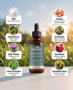 Complete Liver Support Liquid Drops – Milk Thistle, Choline, Dandelion & Artichoke Herbal Blend